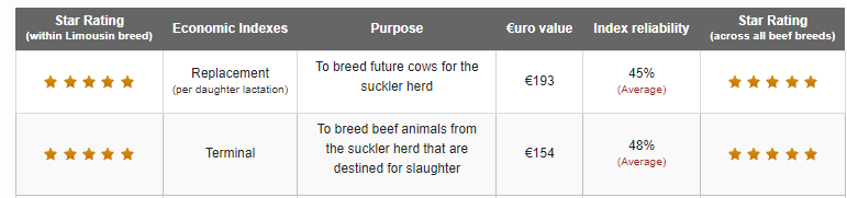 Eurostar indexes for new bull