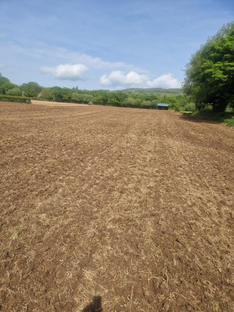 Field being disc harrowed