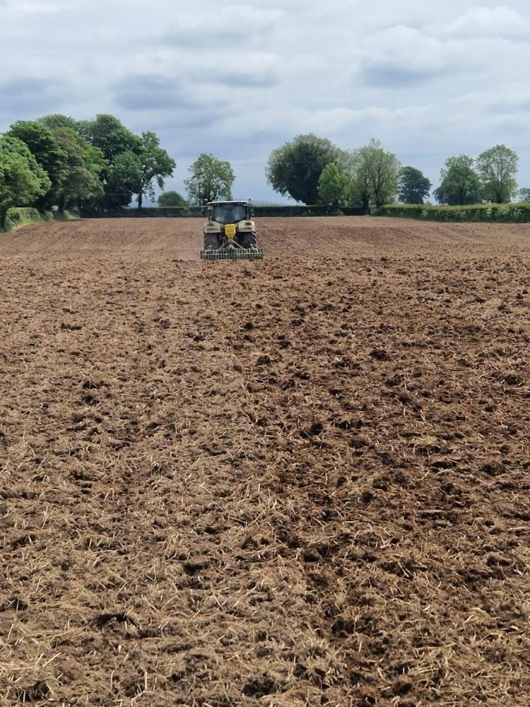Field being reseeded with power harrow and air seeder