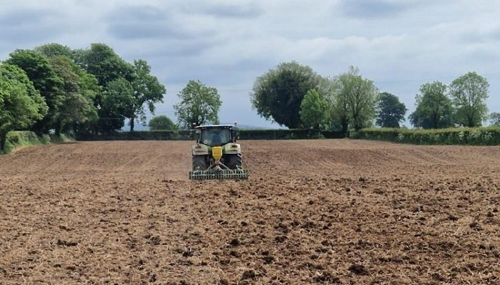 Field being reseeded with a power harrow and air seeder on James Skehans farm
