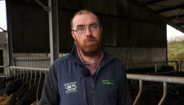 CBV driving performance in west Cork