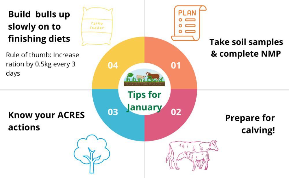 Top Tips for Jan 2024
