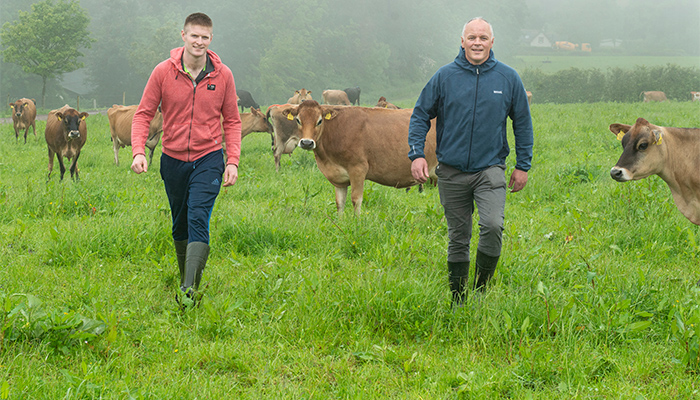 Organics – the road less travelled