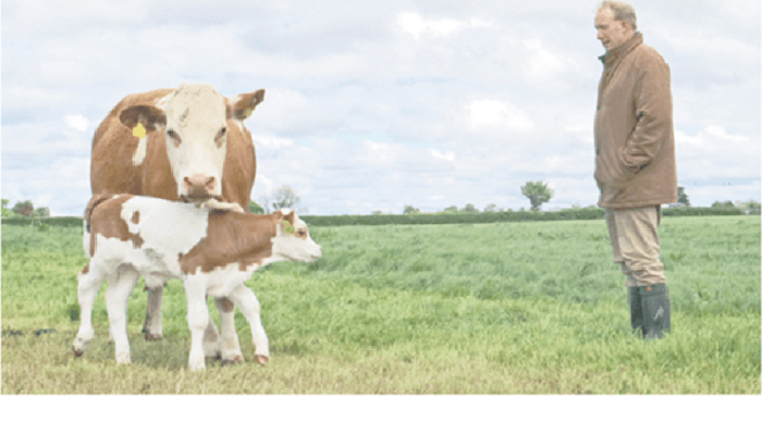 BovINE making an impact – the farmer view (An interview with John Dunne)