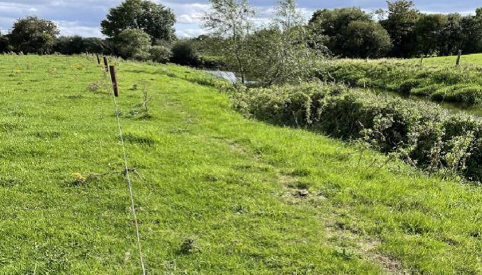 Improving biodiversity through ACRES with Future Beef Farmer John Dunne