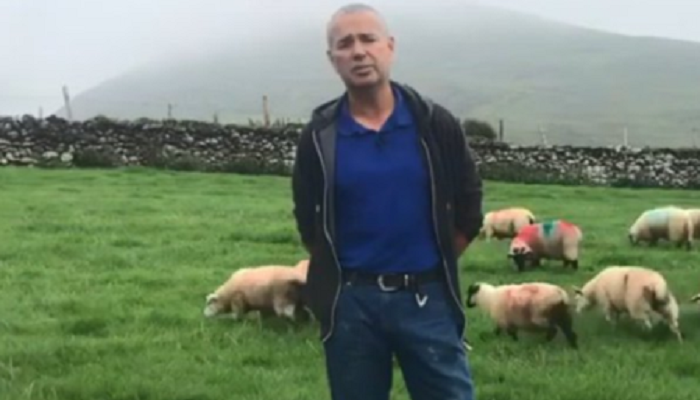 Teagasc BETTER Sheep Farm – John Joe Fitzgerald