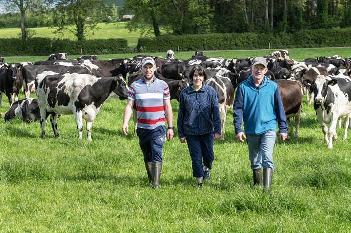 John Maria and Brendan Walsh pictured in a paddock with cows in the background