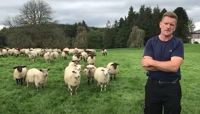 Housing, scanning and planning for spring in Co Leitrim