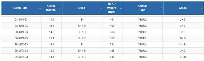 john Pringle Bull performance 2023