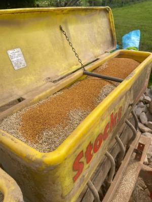 John Pringle sowing clover