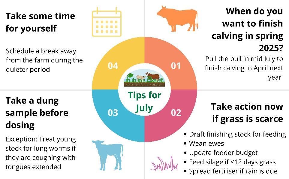 Top tips for July