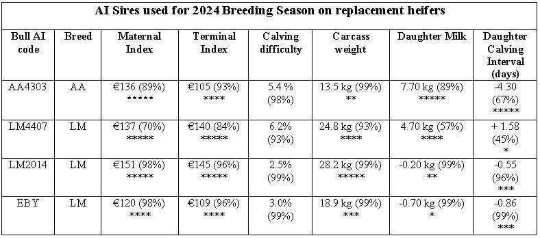 Bulls used on heifers 2024