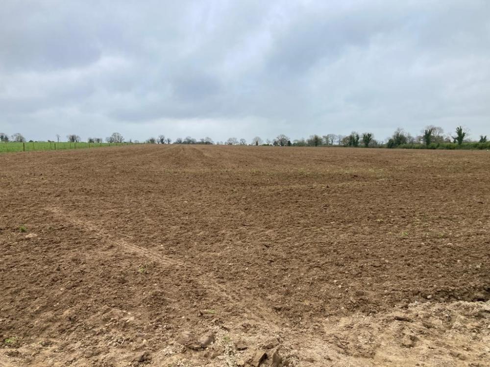 Freshly sowed field on Ken's farm