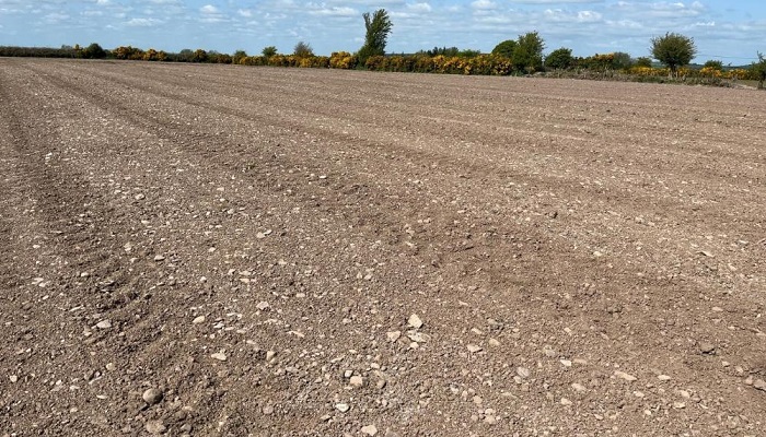 Rolled fields on Kay O'Sullivans farm