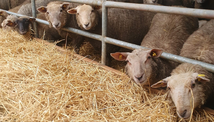 Setting the foundations for a strong year ahead