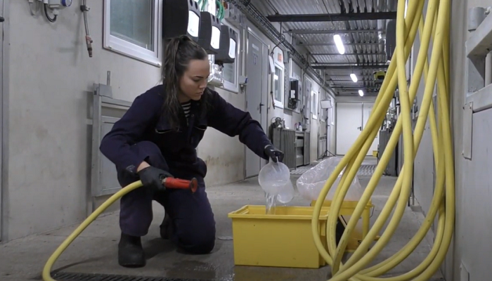 Impact of improved hygiene: Farrowing accommodation and liquid feeding systems