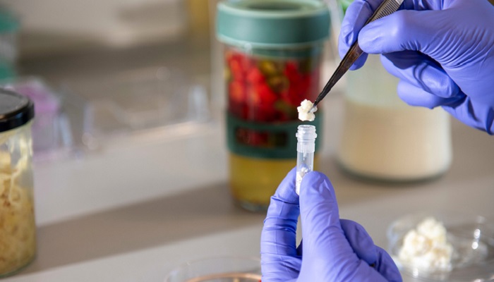 Teagasc Food Programme researchers receive funding from Horizon Europe Research Innovation Action Call