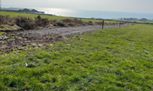 Kerry Agri Update Grass Photo 14th March 2025