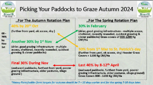 Kerry Agri Update Grass Photo 1st November 2024
