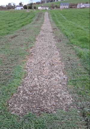 Kerry Agri Update Grass Photo 2 28th March 2025