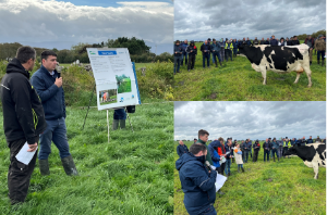 Kerry Agri Update Grass Photo 4th October 2024