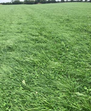 Kerry Agri Update Photo 23rdAugust2024
