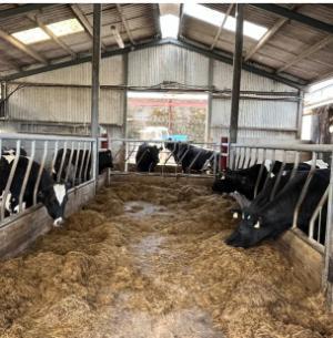 Kerry Agri Update Photo 28thFebruary2025