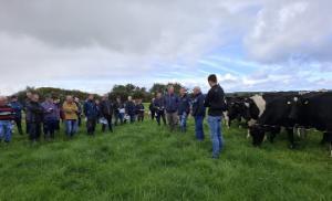 Kerry Agri Update Photo 30th September 2024