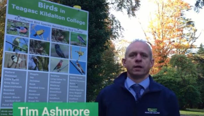 Birds and Bats in Kildalton College