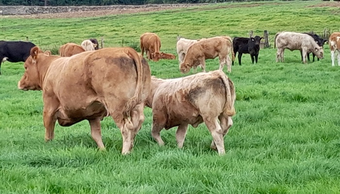 A reminder of SCEP requirements