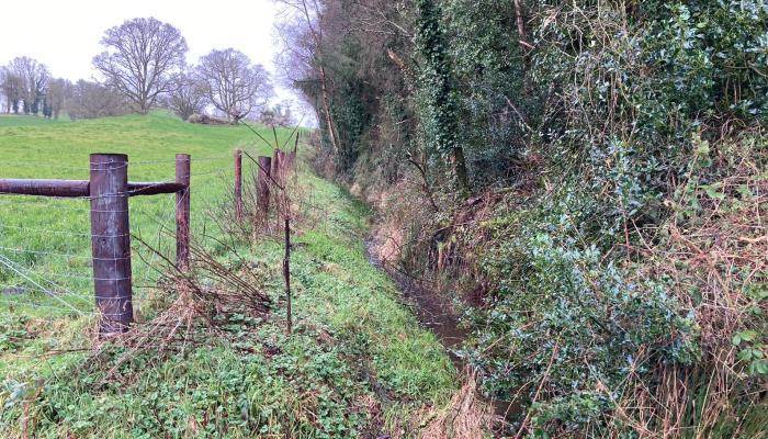 Drainage Maintenance to protect Water Quality