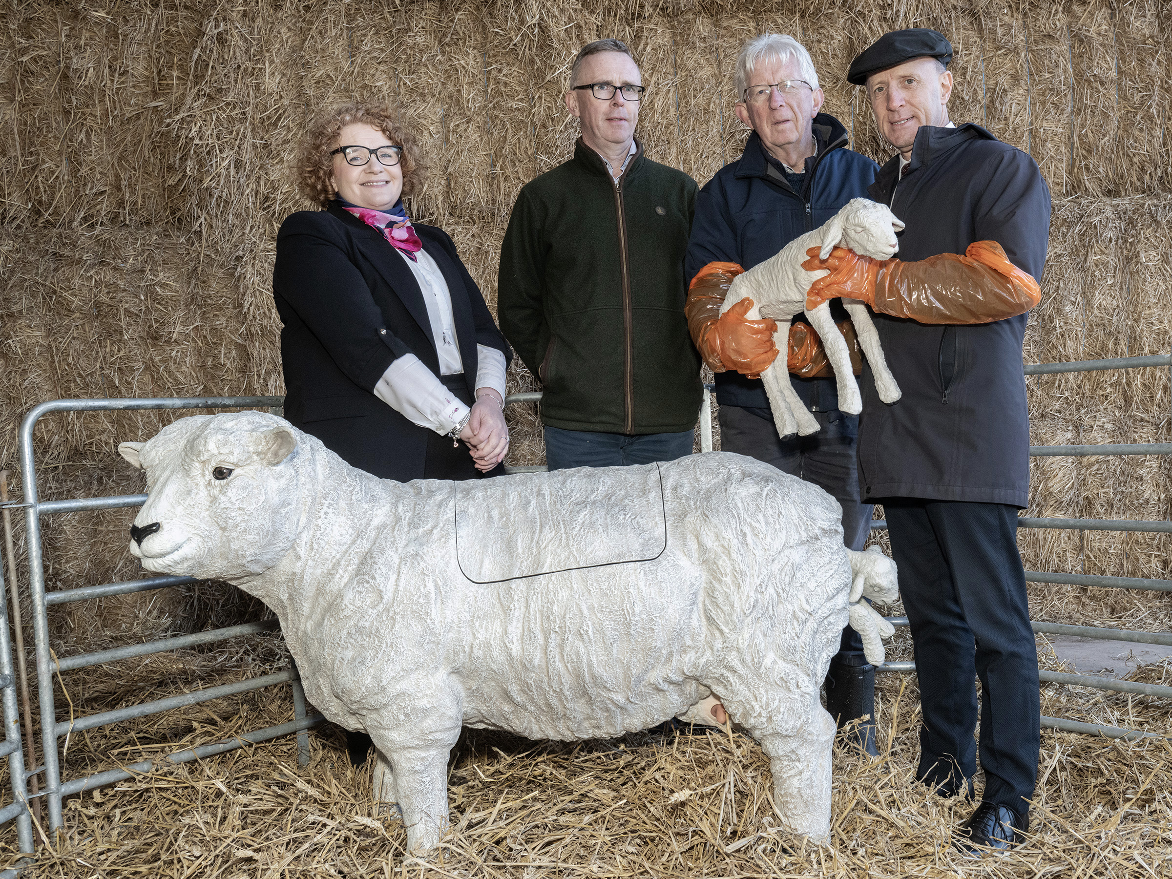Minister Healy-Rae announces investment in ewe simulators