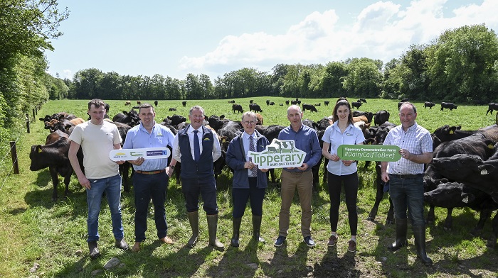 Pictured at the launch were left to right: Jack Spillane, Farm Manager; Mathew Murphy, Dawn Meats; Niall Browne, Chief Executive, Dawn Meats; Professor Frank O’ Mara, Teagasc Director; Donal Santry, Chairman of Shinagh Estates; Chloe Millar, Teagasc Technician and Sean Deasy, Vice Chairman of Shinagh Estates.