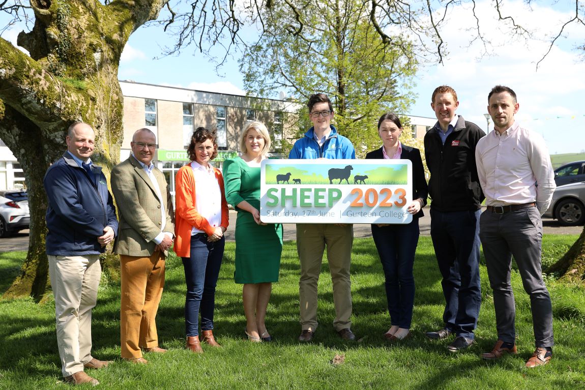 Full steam ahead for Sheep 2023 major sheep event