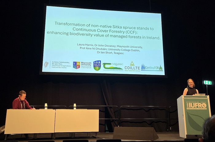 Laura Harris presenting