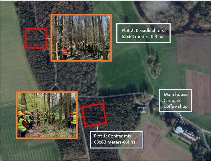 Layout of the marteloscope training facility in Oak Park, Teagasc National Research Centre
