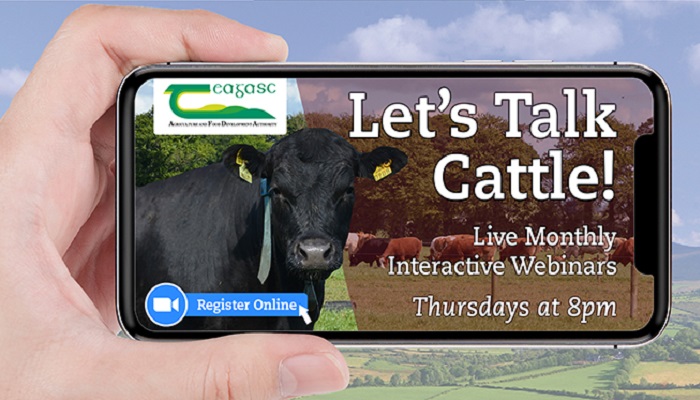 Let's Talk Cattle 2021