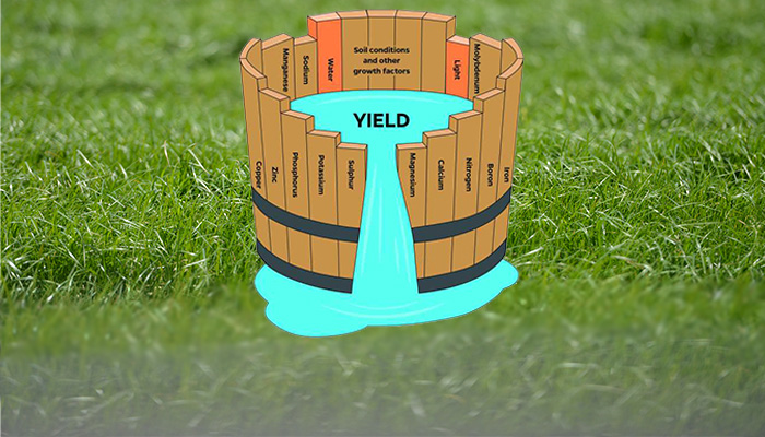 Chemical Fertiliser Deadline Day approaching or is it??