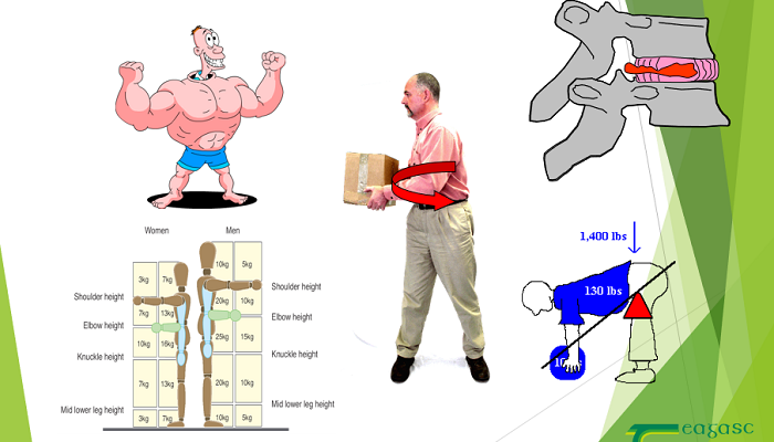 Healthy Workplaces Lighten the Load
