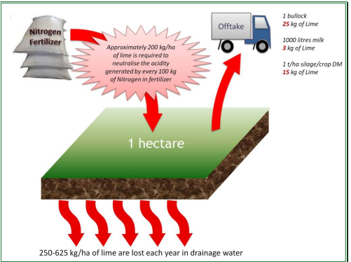 Approximately 200 kg/ha  of lime is required to  neutralise the acidity  generated by every 100 kg  of Nitrogen in fertilizer. 250-625 kg/ha of lime are lost each year in drainage water.