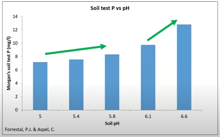 Liming acidic mineral soils increases soil phosphorus availability, details in text
