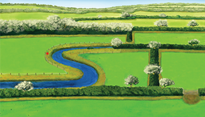 Linear Biodiversity Habitats