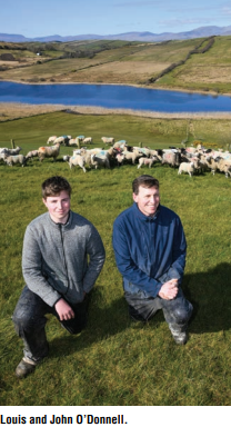 mayo blackface farmers
