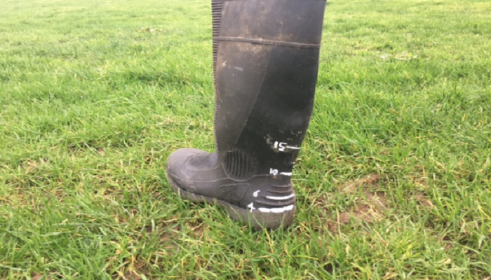 Walk your Farm – It will make decision making easier!