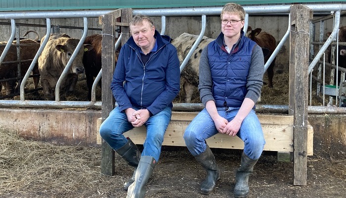 Selecting AI sires for autumn breeding on Future Beef farms