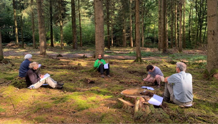 MOOCFORCHANGE- Massive open online course for forest change