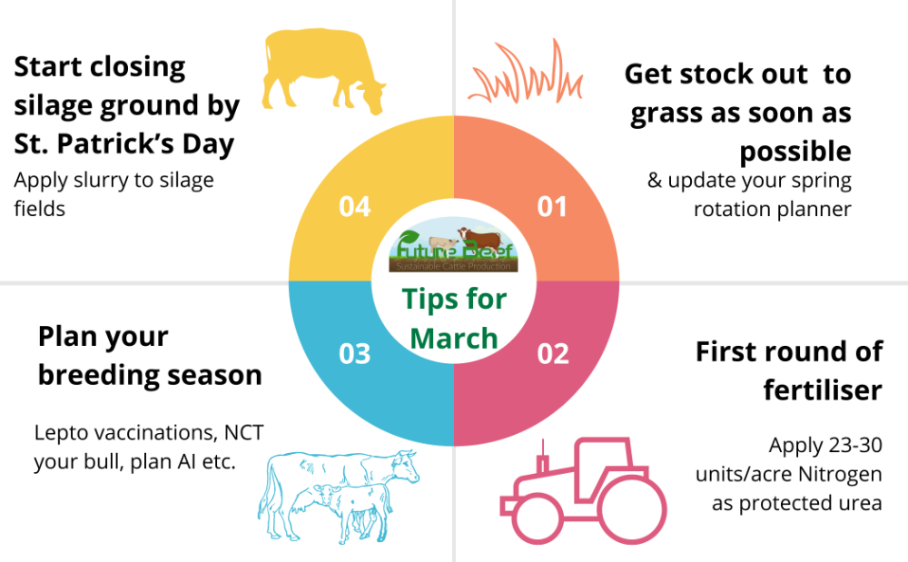 Top tips for March