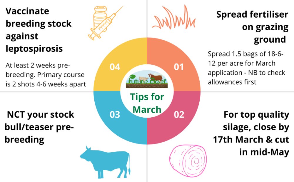 Top tips for March 2025