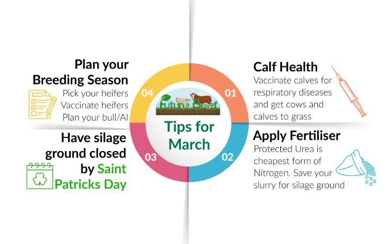 March Top Tips Infographic