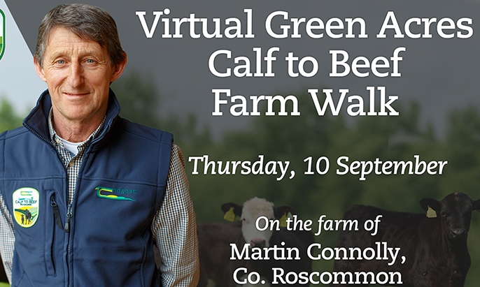Teagasc Green Acres Farm Walk Roscommon